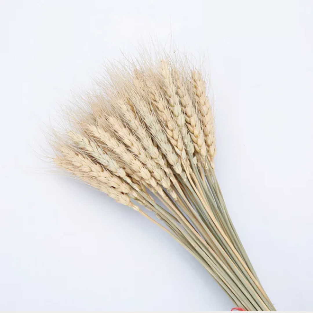 Dried Wheat Bouquet