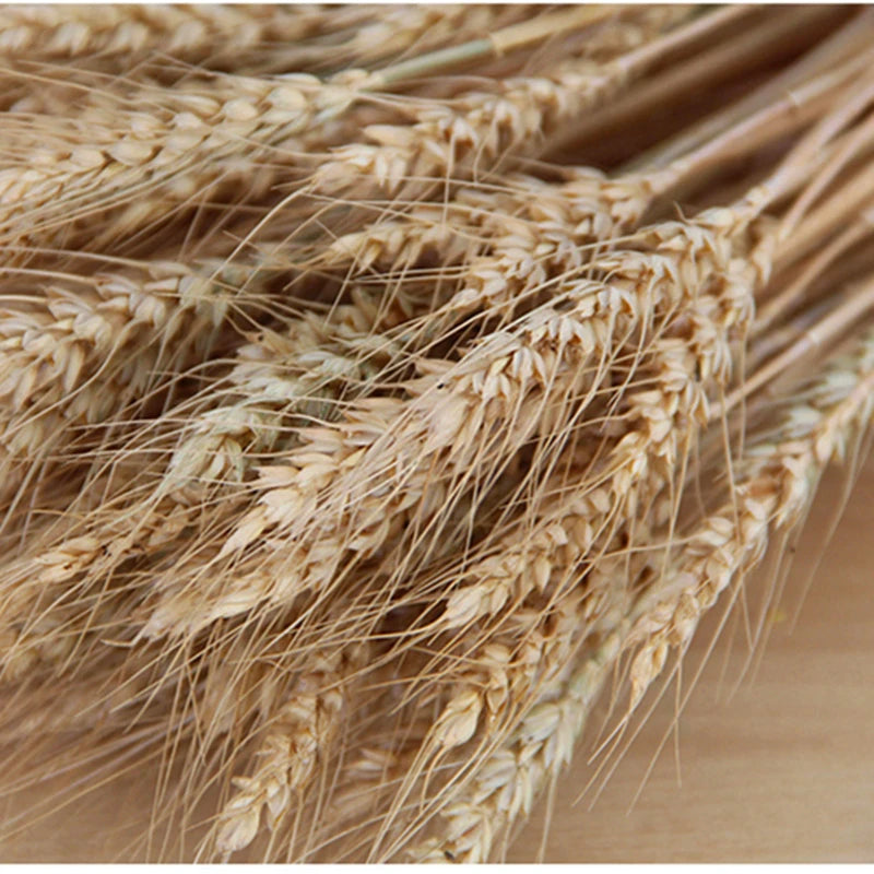 Dried Wheat Bouquet