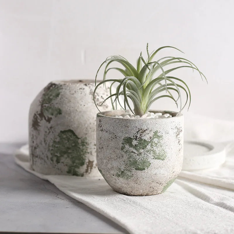 Dist Ceramic Pot