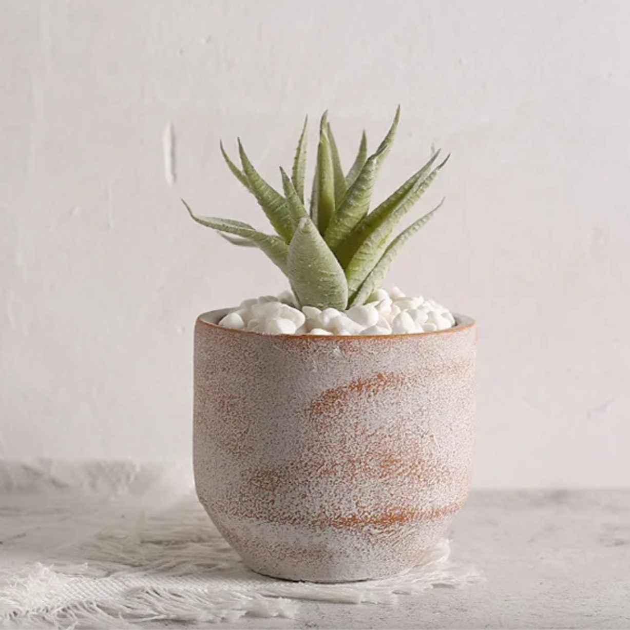 Rustic Terra Ceramic Pot