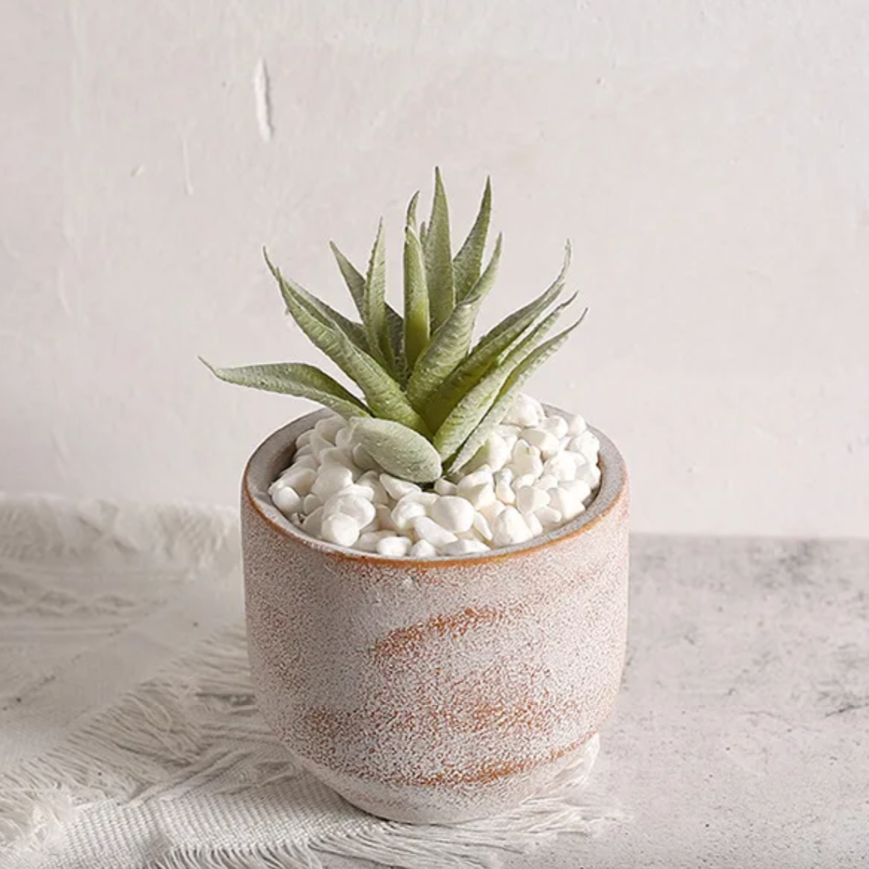 Rustic Terra Ceramic Pot